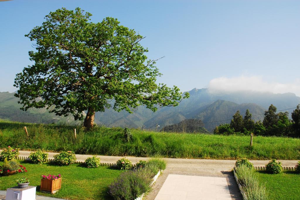 Hotel Mirador Del Sella Рибадесела Екстериор снимка